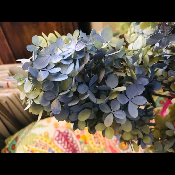 Other - Dried hydrangeas